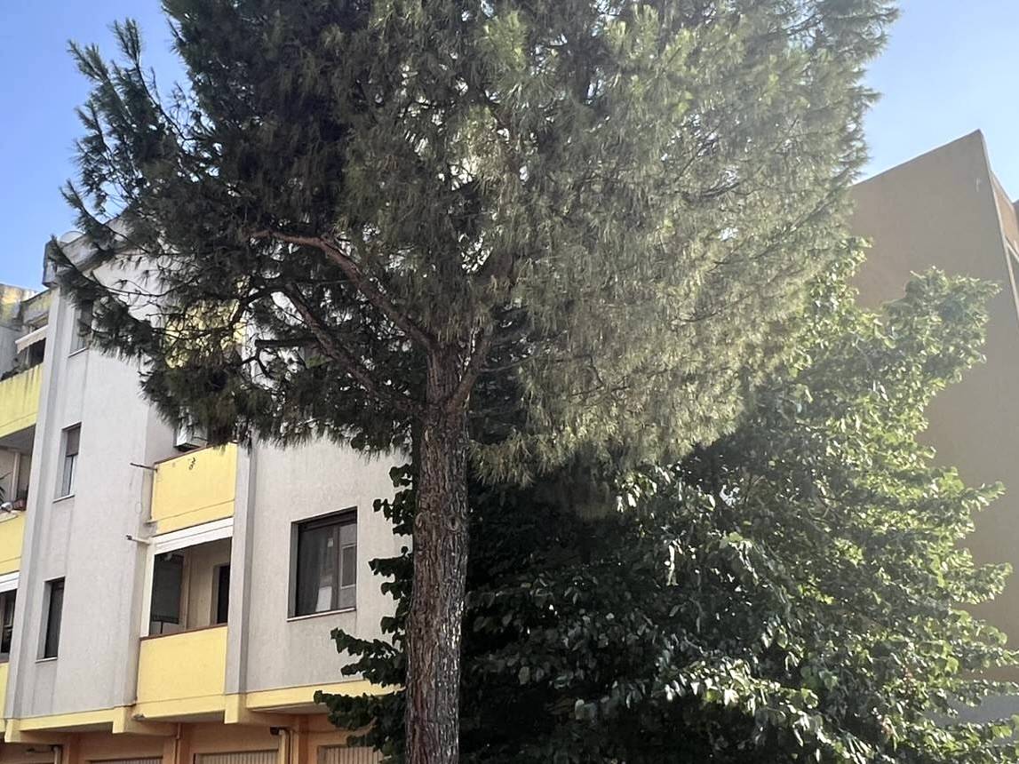 Appartamento in vendita a Monteprandone