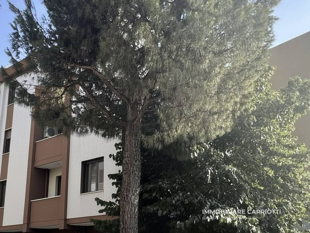 Appartamento in vendita a Monteprandone