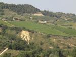 Casa singola - Casale agricolo in vendita a Monteprandone
