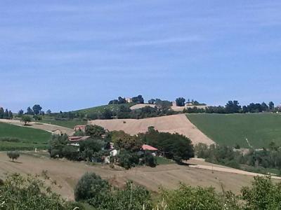 Casa singola - Casale agricolo in vendita a Montedinove
