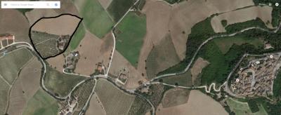 Casa singola - Casale agricolo in vendita a Montedinove