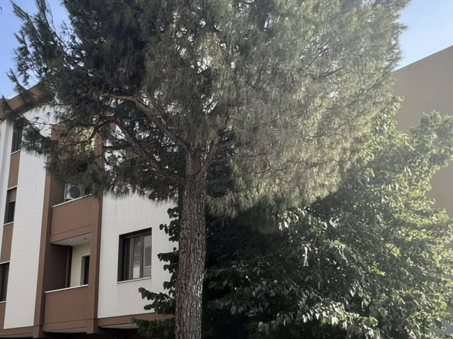 Appartamento in vendita a Monteprandone