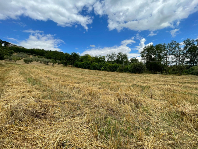 Terreno Agricolo in vendita a Ariano Irpino