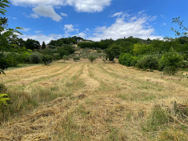 Terreno Agricolo in vendita a Ariano Irpino