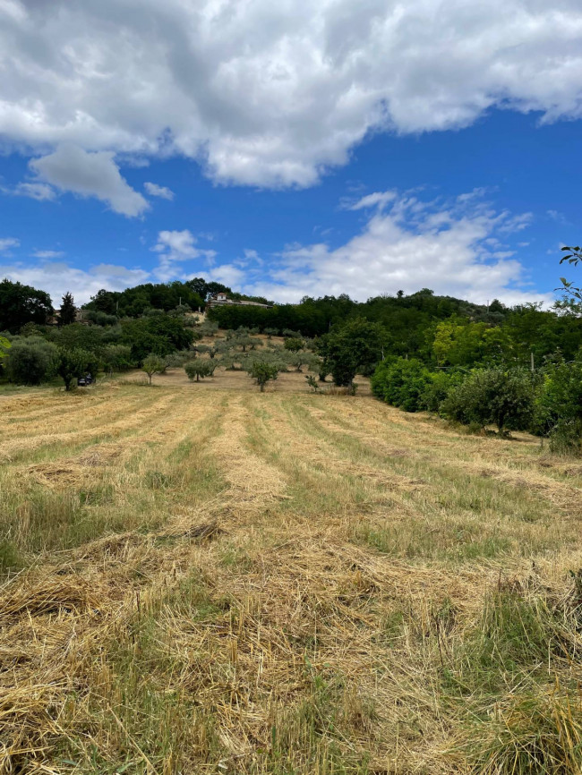 Terreno Agricolo in vendita a Ariano Irpino