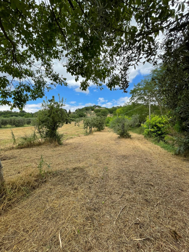 Terreno Agricolo in vendita a Ariano Irpino