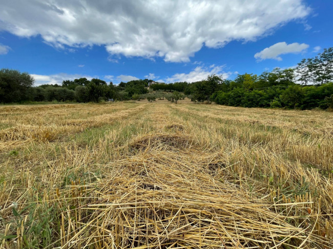 Terreno Agricolo in vendita a Ariano Irpino