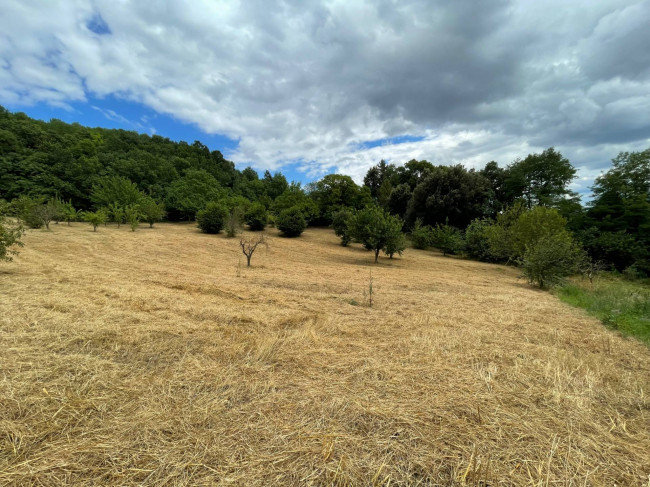 Terreno Agricolo in vendita a Ariano Irpino