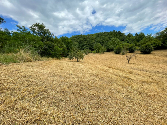 Terreno Agricolo in vendita a Ariano Irpino