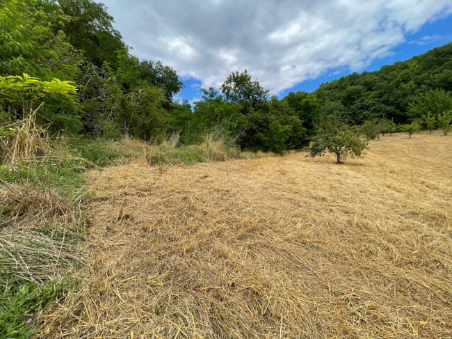 Terreno Agricolo in vendita a Ariano Irpino