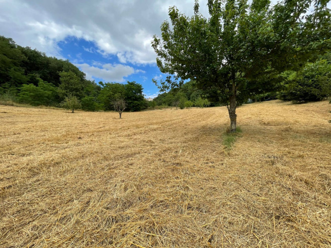 Terreno Agricolo in vendita a Ariano Irpino