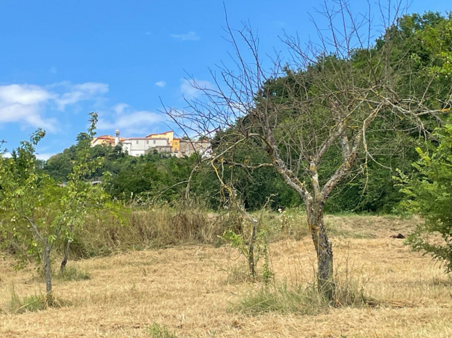 Terreno Agricolo in vendita a Ariano Irpino