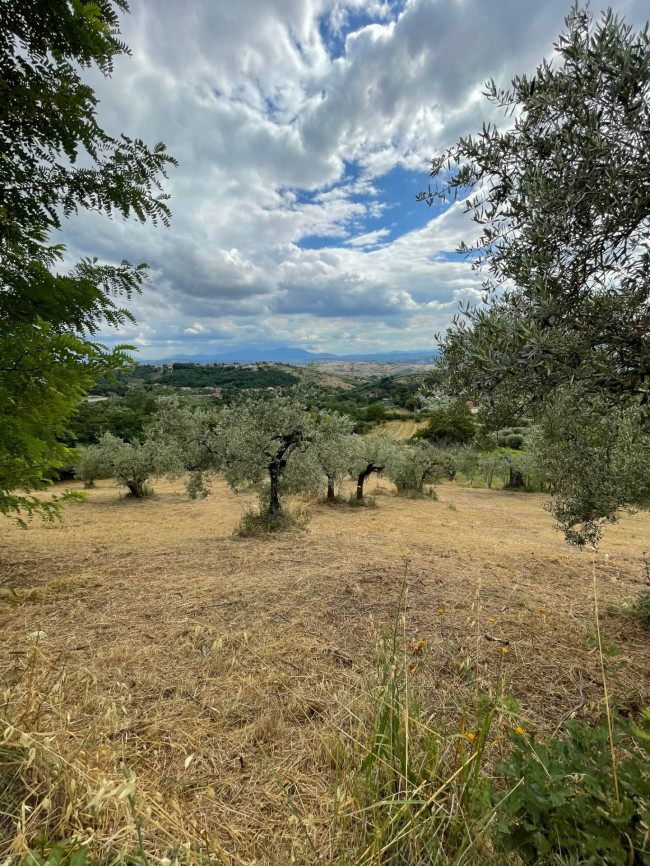 Terreno Agricolo in vendita a Ariano Irpino