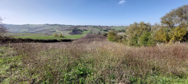 Azienda agrituristica in vendita a Ariano Irpino (AV)