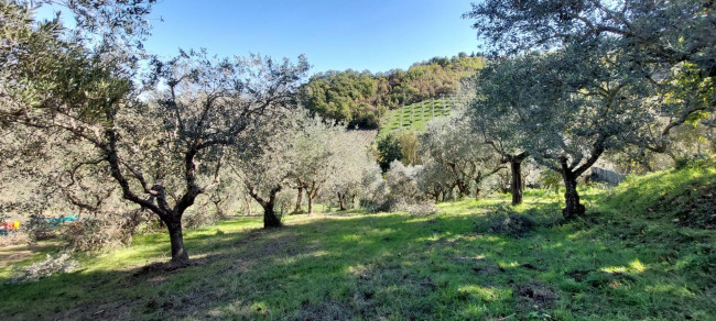 Casa indipendente in vendita a Ariano Irpino (AV)