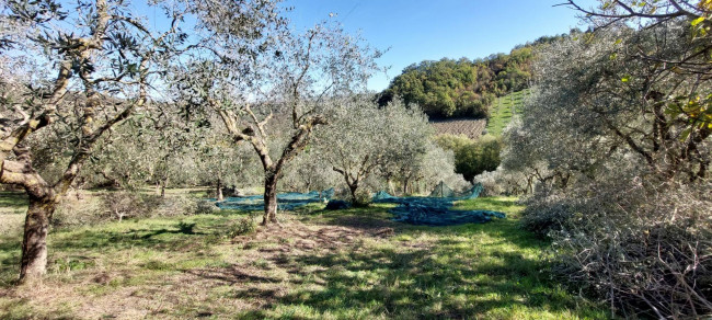 Casa indipendente in vendita a Ariano Irpino (AV)