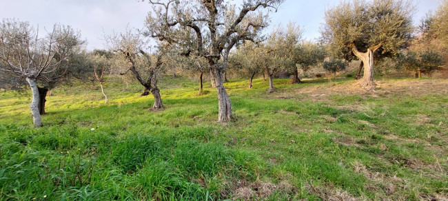 Casa singola in vendita a Ariano Irpino