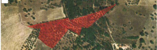 Terreno Agricolo in vendita a Ariano Irpino