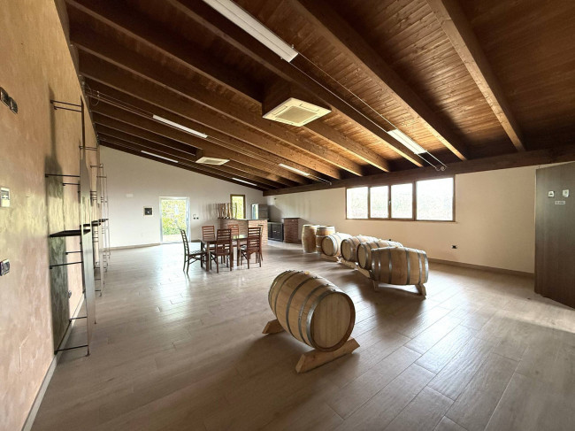 Opificio in vendita a Corropoli