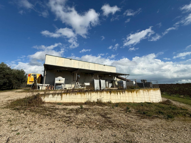 Opificio in vendita a Corropoli