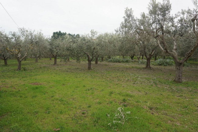 Terreno edificabile in vendita a Martinsicuro