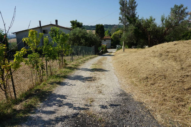 Terreno edificabile in vendita a Colonnella