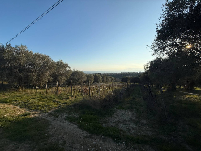 Terreno Agricolo in vendita a Giulianova