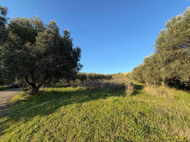 Terreno Agricolo in vendita a Giulianova