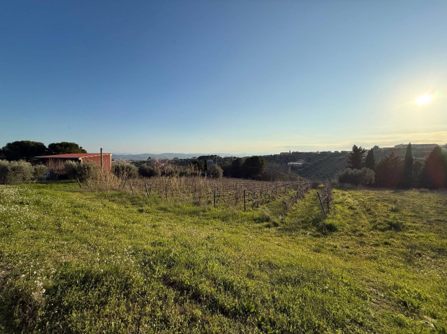 Terreno Agricolo in vendita a Giulianova
