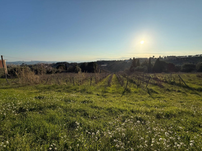 Terreno Agricolo in vendita a Giulianova