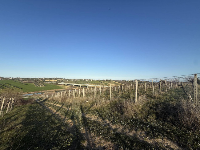 Terreno Agricolo in vendita a Mosciano Sant'Angelo
