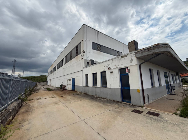Opificio in vendita a Controguerra