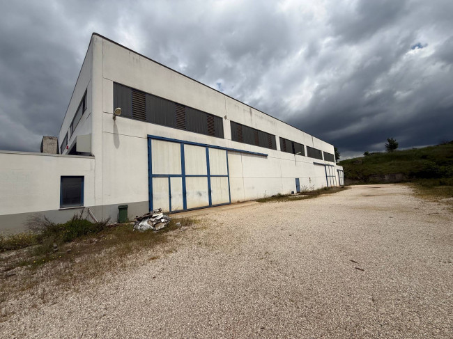 Opificio in vendita a Controguerra