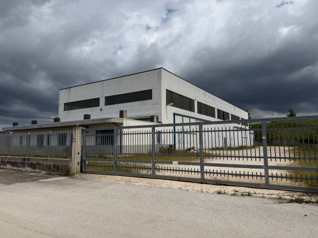 Opificio in vendita a Controguerra