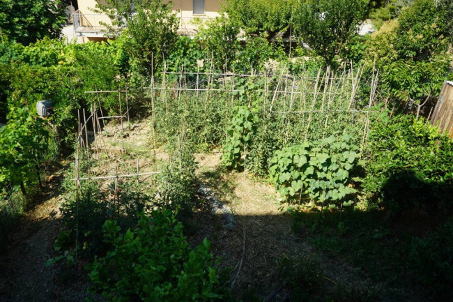 Appartamento in vendita a Colonnella