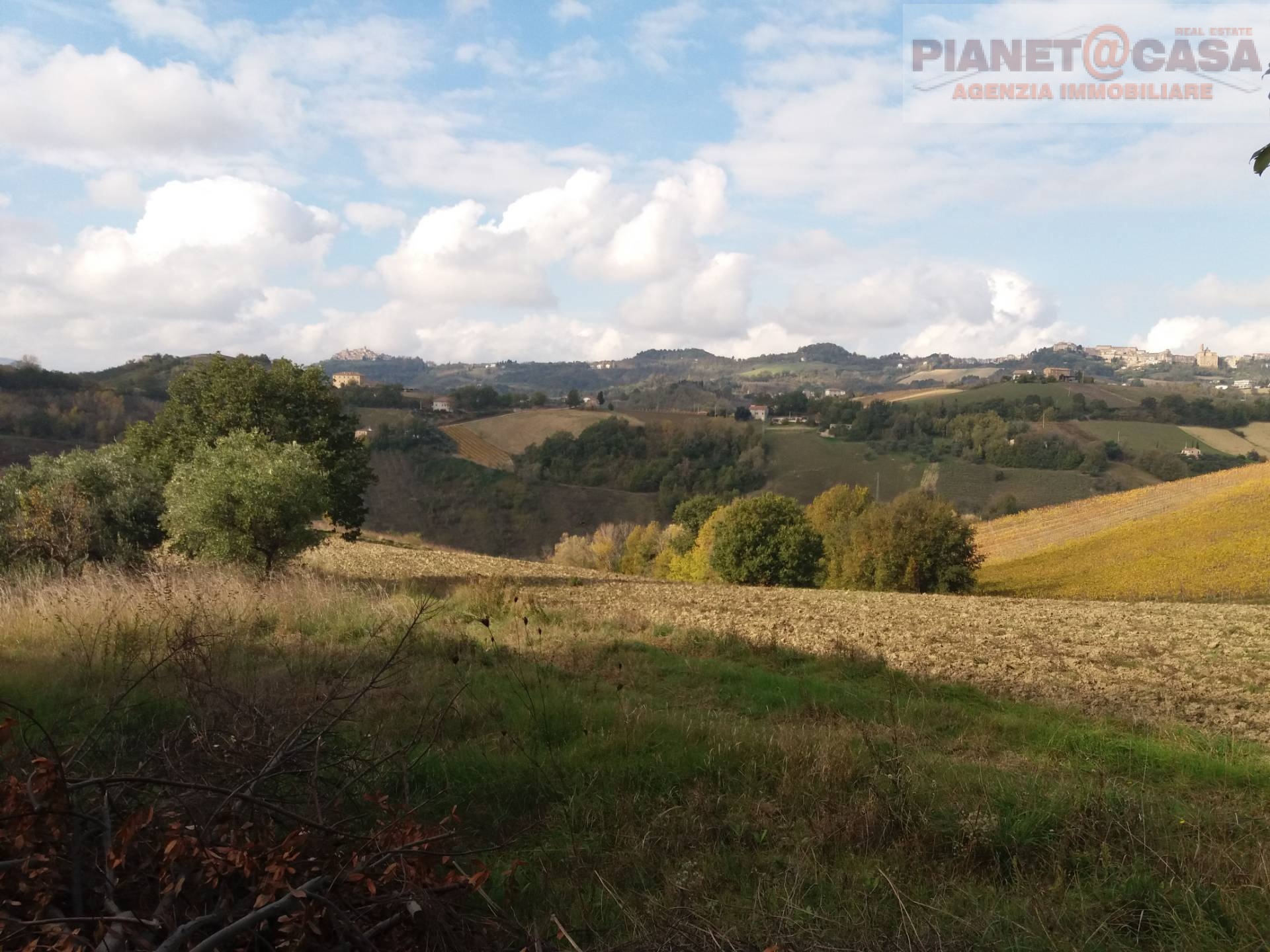 Villa Unifamiliare - Indipendente MONTALTO DELLE MARCHE vendita    PIANETA CASA