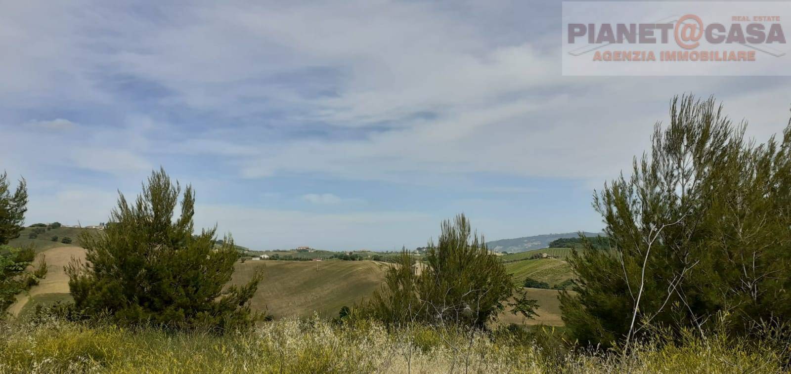 Rustico - Cascina MONTEPRANDONE vendita    PIANETA CASA