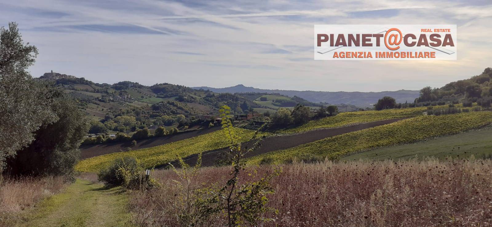 Rustico - Cascina SPINETOLI vendita    PIANETA CASA