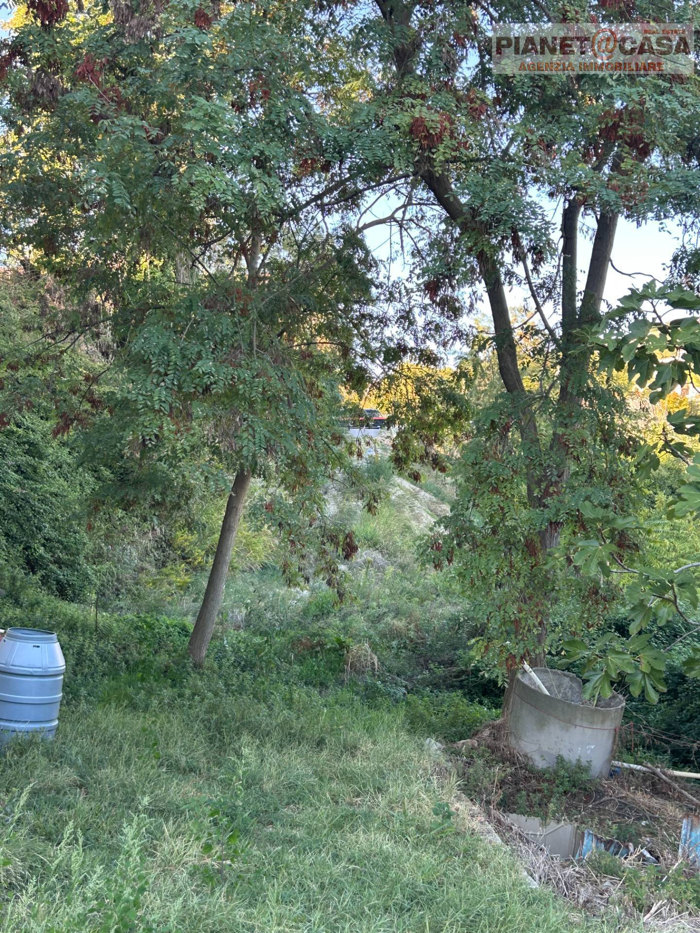 Rustico/Casale in vendita a Offida - foto 5