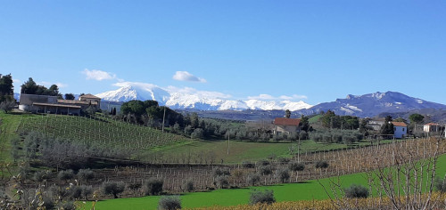 Terreno Agricolo in vendita a Offida