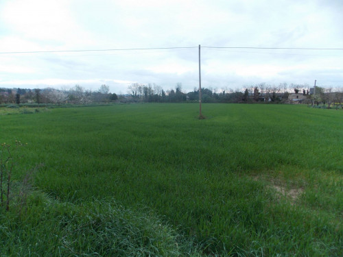 Terreno Artigianale/Industriale in vendita a Monsampolo del Tronto