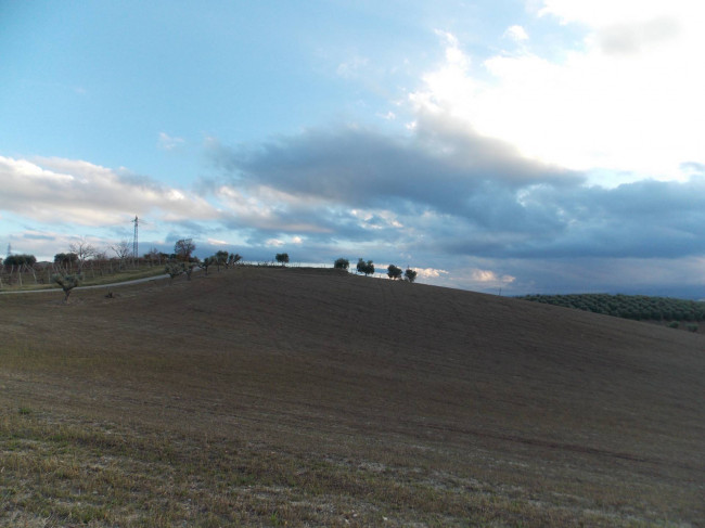 Terreno Agricolo in vendita a Spinetoli