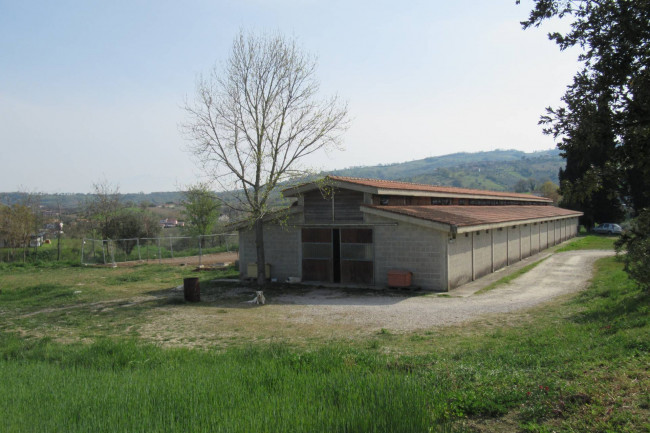 Azienda agrituristica in vendita a Campli (TE)
