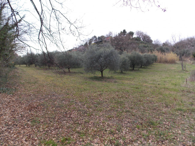 Terreno agricolo in vendita a San Benedetto Del Tronto (AP)
