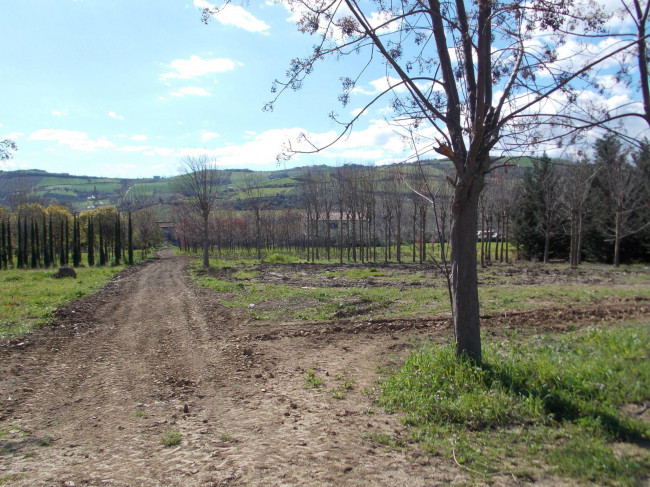 Terreno Agricolo in vendita a Colli del Tronto