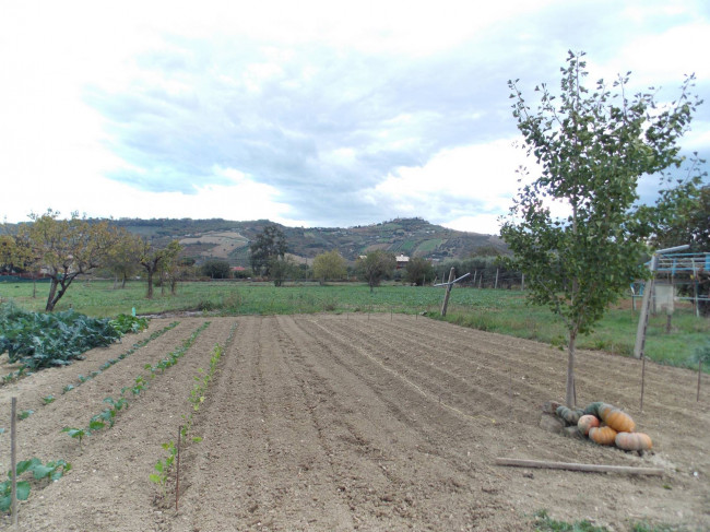 Terreno Agricolo in vendita a Monteprandone