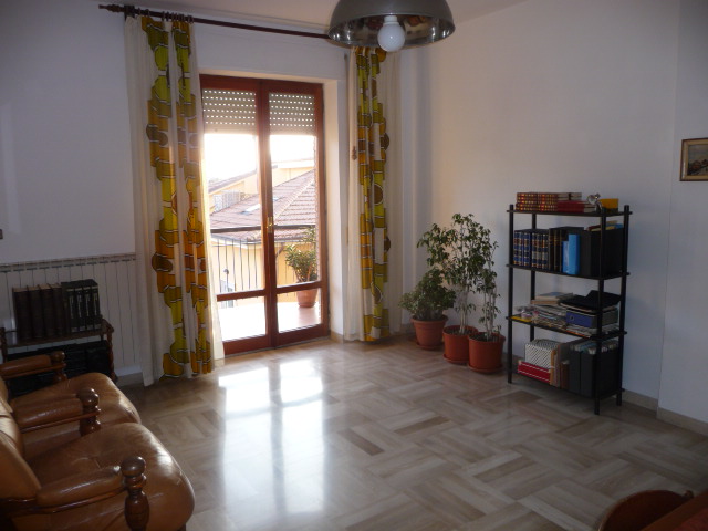 Appartamento SAN BENEDETTO DEL TRONTO vendita  Zona Mare di San Benedetto  Sviluppo Casa 33