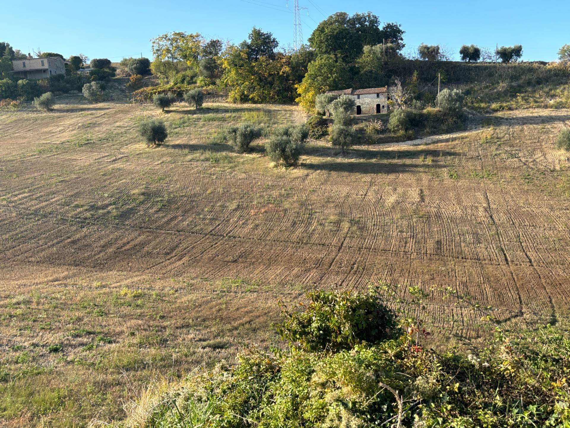CASA COLONICA in vendita a Massignano