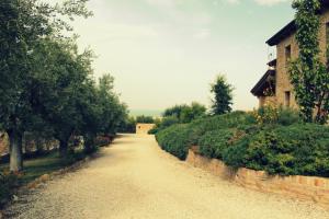 Farm House for sale in Colonnella