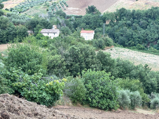 CASA COLONICA in vendita a Castignano